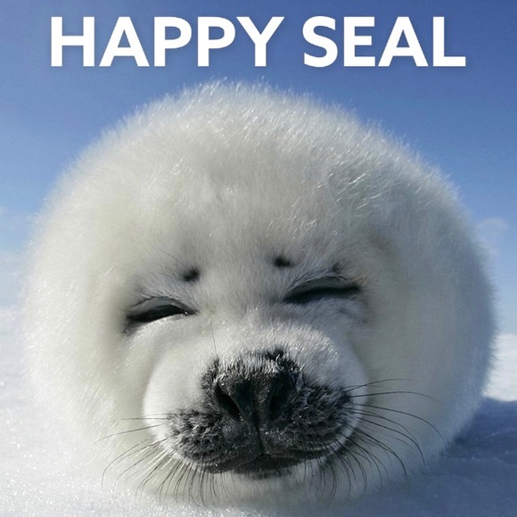 🤝 MAKE ME AN OFFER 😃 Be Happy! - Picture 9 of 10